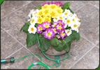 Basket Booster for Patio Planters
