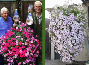Pictures from the Maple Ridge News article about 