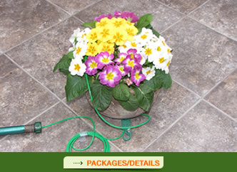 Planter Booster