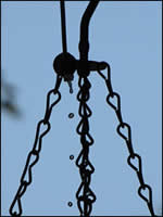 Drips of water